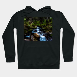 Stream thru the forest Hoodie